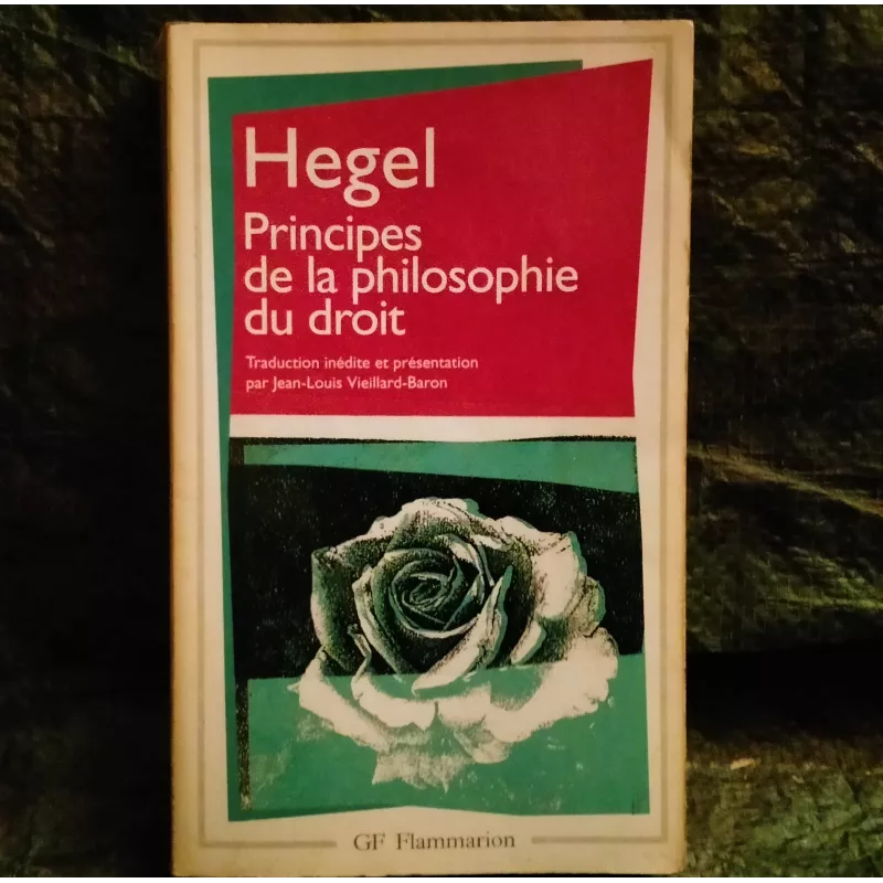 Principes de la philosophie du droit - Georg Hegel - Livre