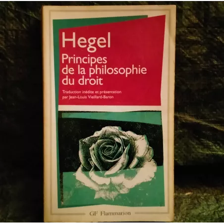 Principes de la philosophie du droit - Georg Hegel - Livre