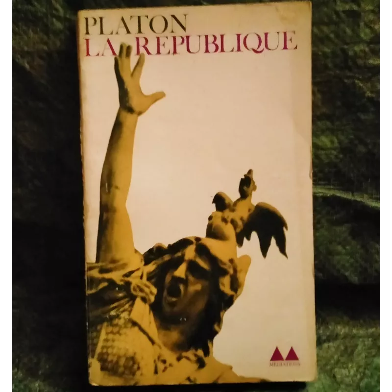La République - Platon Livre