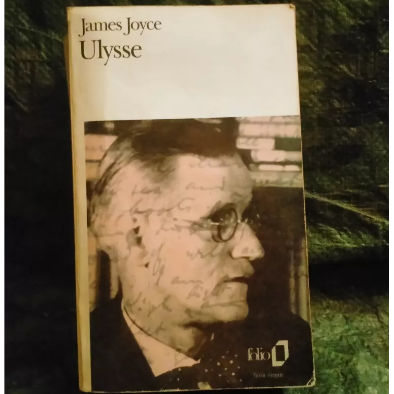 Ulysse - James Joyce Livre