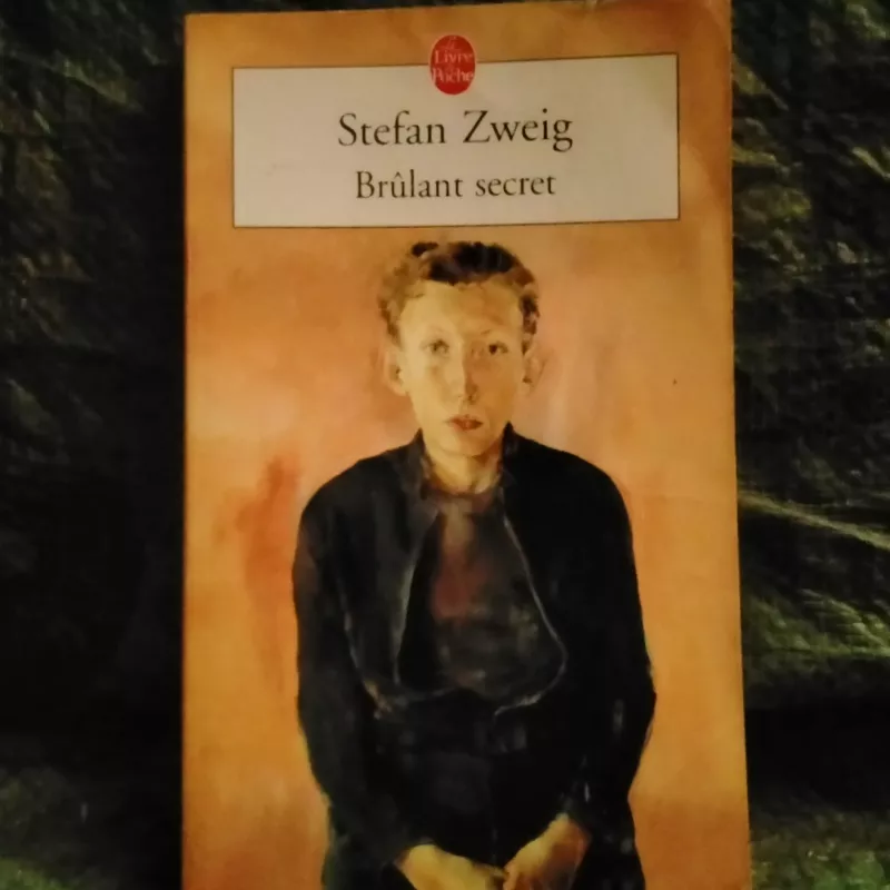 Brûlant secret - Stefan Zweig Livre