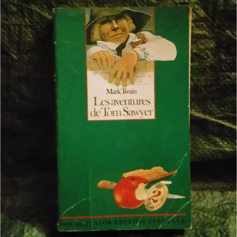 Les aventures de Tom Sawyer - Mark Twain Livre