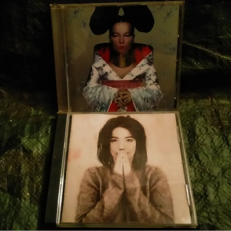 Bjork Pack 2 CD 24 Titres