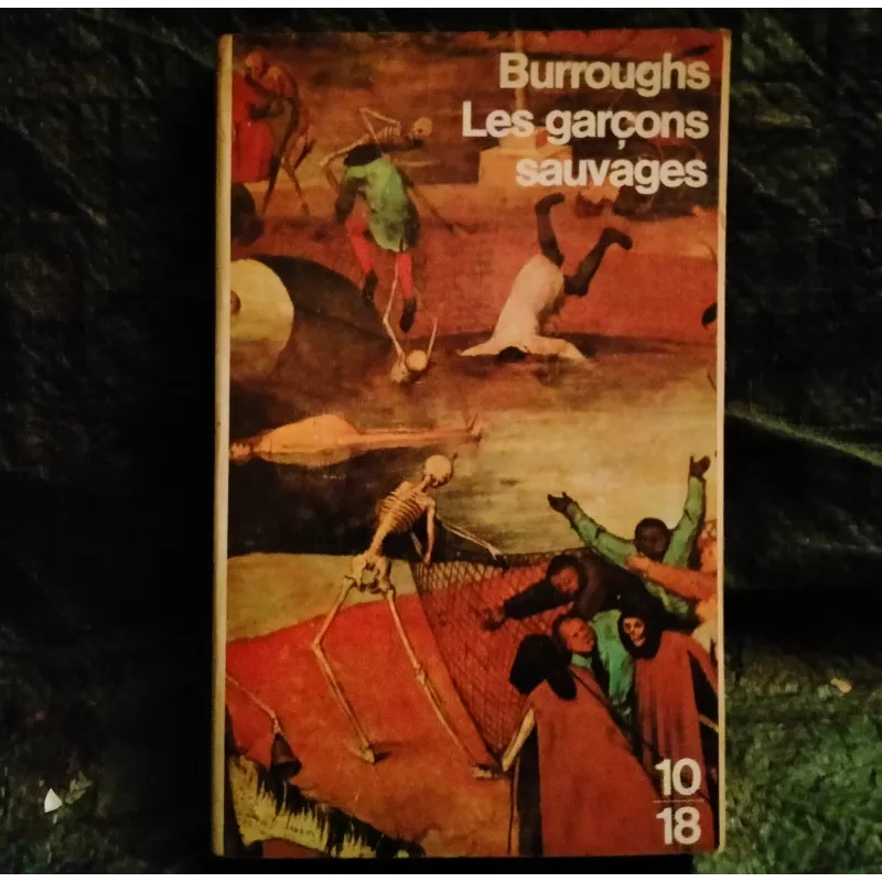 Les garçons sauvages - Burroughs  Livre