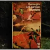 Les garçons sauvages - Burroughs  Livre