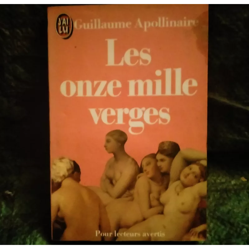Les onze mille verges - Guillaume Apollinaire  - Livre
