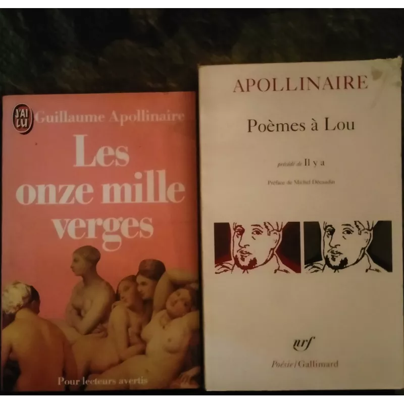 Guillaume Apollinaire Pack 2 Livres