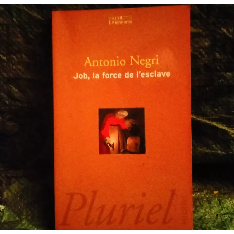 Job, la force de l'rsclave - Antonio Negri  - Livre