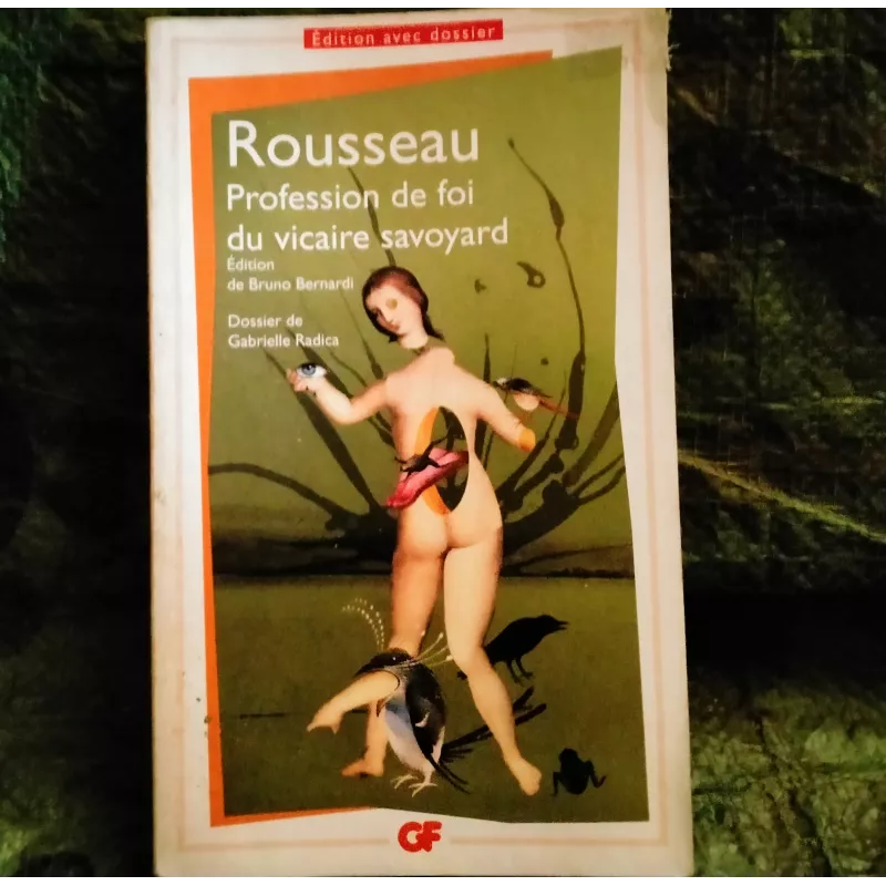 Profession de foi du vicaire Savoyard - Jean-Jacques Rousseau  Livre
