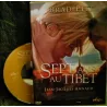 DVD Sept ans au Tibet - Annaud Pitt Film 1997