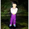 Figurine Dragon Ball Z Sangoten
