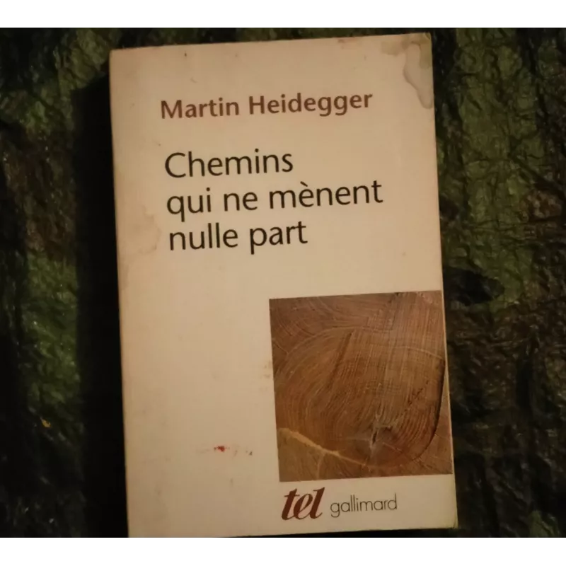 Chemins qui ne mènent nulle part - Martin Heidegger Livre Champs Flammarion