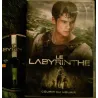 DVD Le Labyrinthe - Wes Ball - Dylan O'Brien  Film 2014