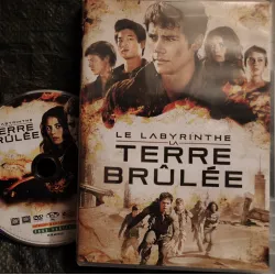 DVD Labyrinthe 2 Terre brûlée - Wes Ball Dylan O'Brien Film 2015