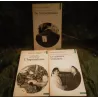 Les origines du totalitarisme Pack trilogie 3 Livres Hannah Arendt