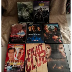 DVD Brad Pitt Pack 8 Films 12 years a slave Rencontre avec Joe Black Fury Et au milieu coule une rivière
