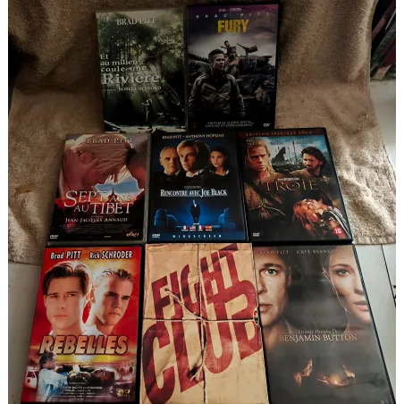DVD Brad Pitt Pack 8 Films 12 years a slave Rencontre avec Joe Black Fury Et au milieu coule une rivière