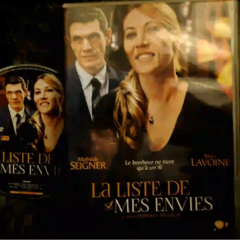 La liste de mes envies - Lavoine Seigner Chesnais Film DVD VF 2014