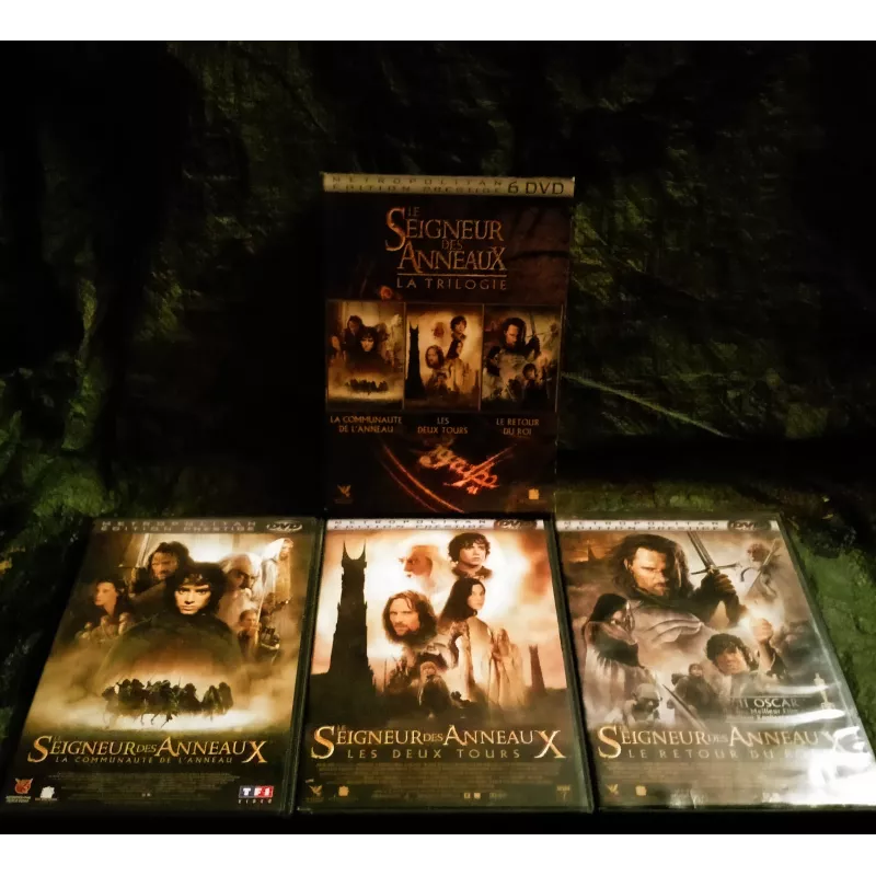Le seigneur des anneaux Pack Trilogie 3 Films 6 DVD Peter Jackson - Elijah Wood