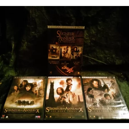 Le seigneur des anneaux Pack Trilogie 3 Films 6 DVD Peter Jackson - Elijah Wood