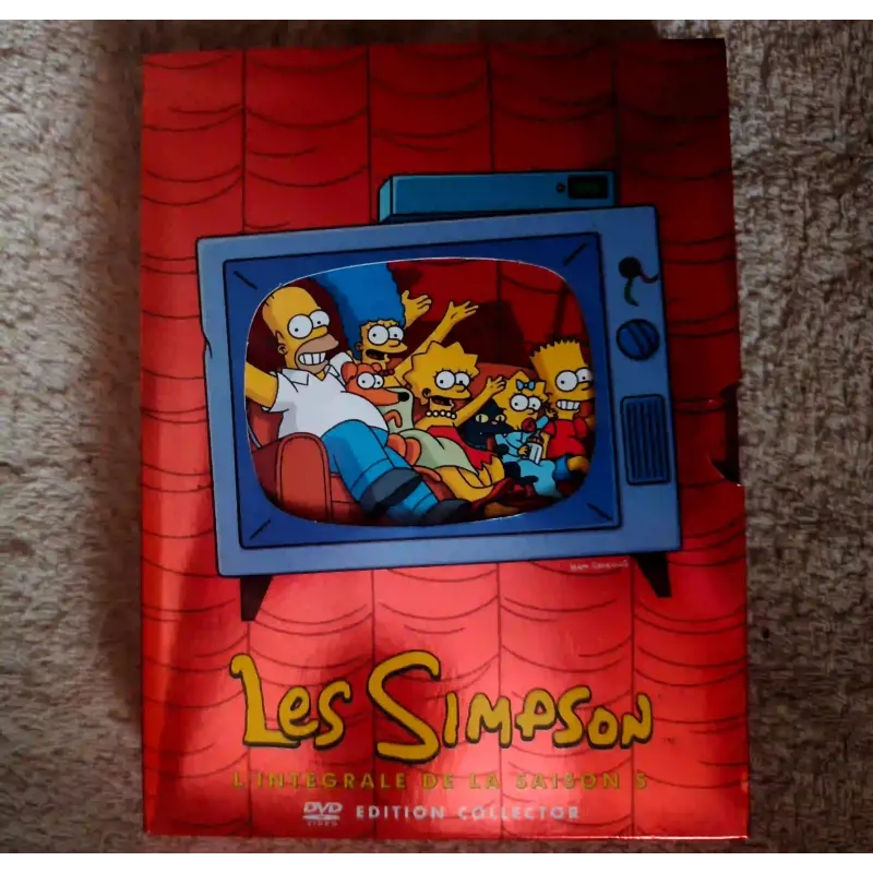 Les Simpson - Coffret Saison 5 DVD Animation