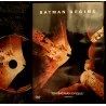 Batman begins - Nolan Bale Caine Neeson Oldman Film DVD VF 2005