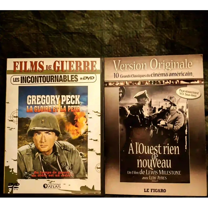 Lewis Milestone Pack 2 Films DVD VF A l'ouest rien de nouveau La gloire et la peur