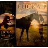 Flicka 3 Meilleures amies Film DVD VF 2012