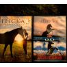 Chevaux Pack 3 Films DVD VF L'étalon noir + Le retour de l'étalon noir + Flicka 3