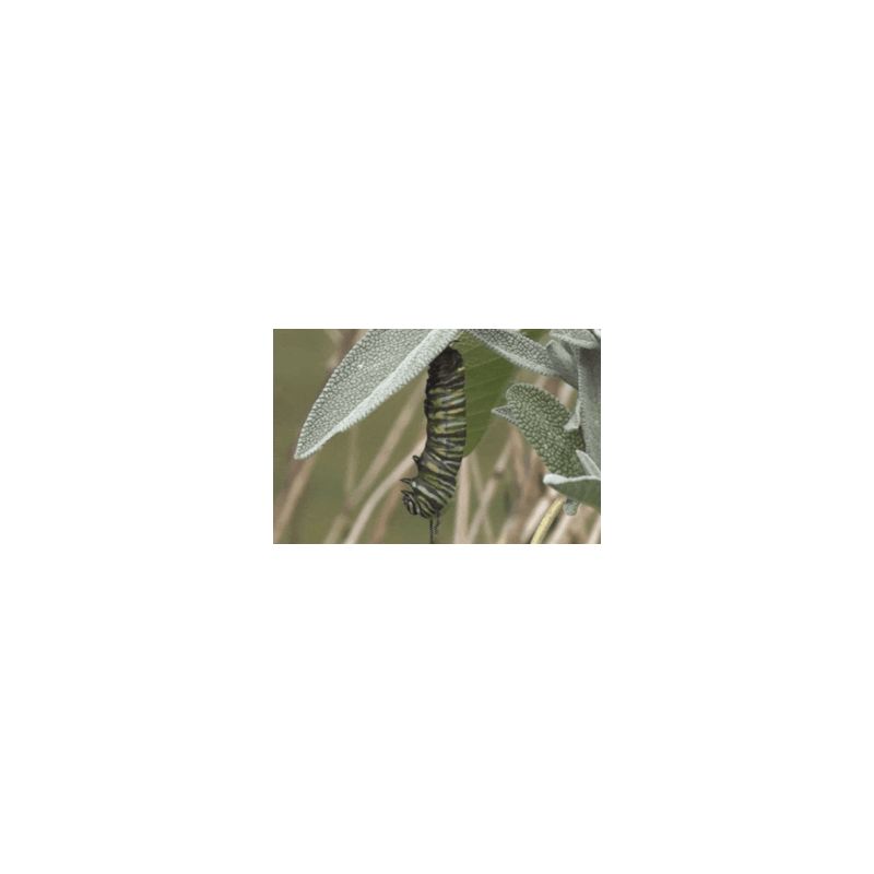 test 19